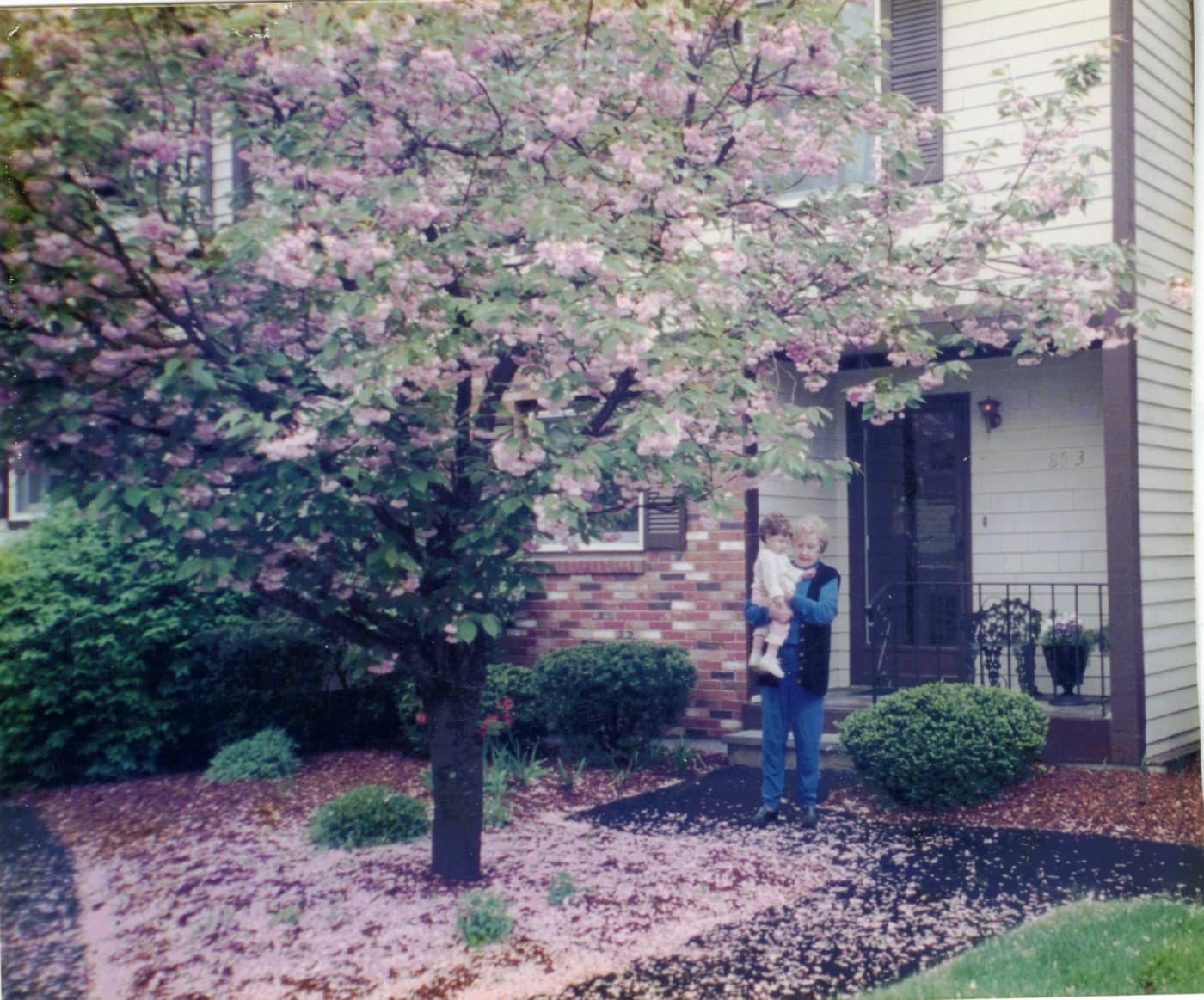 Jen as a baby with her grandmother Gaga under a blooming cherry tree