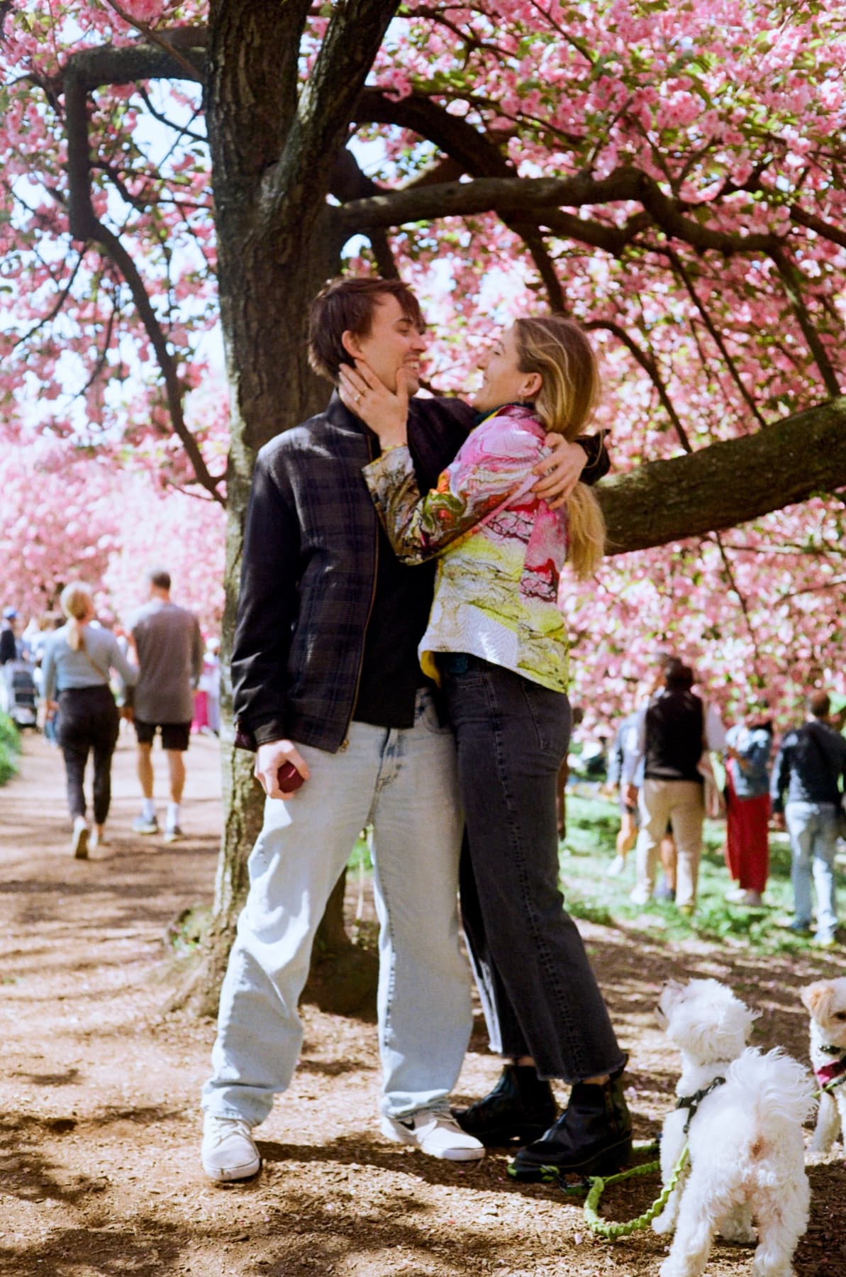 Jen and Luke under a blooming cherry tree