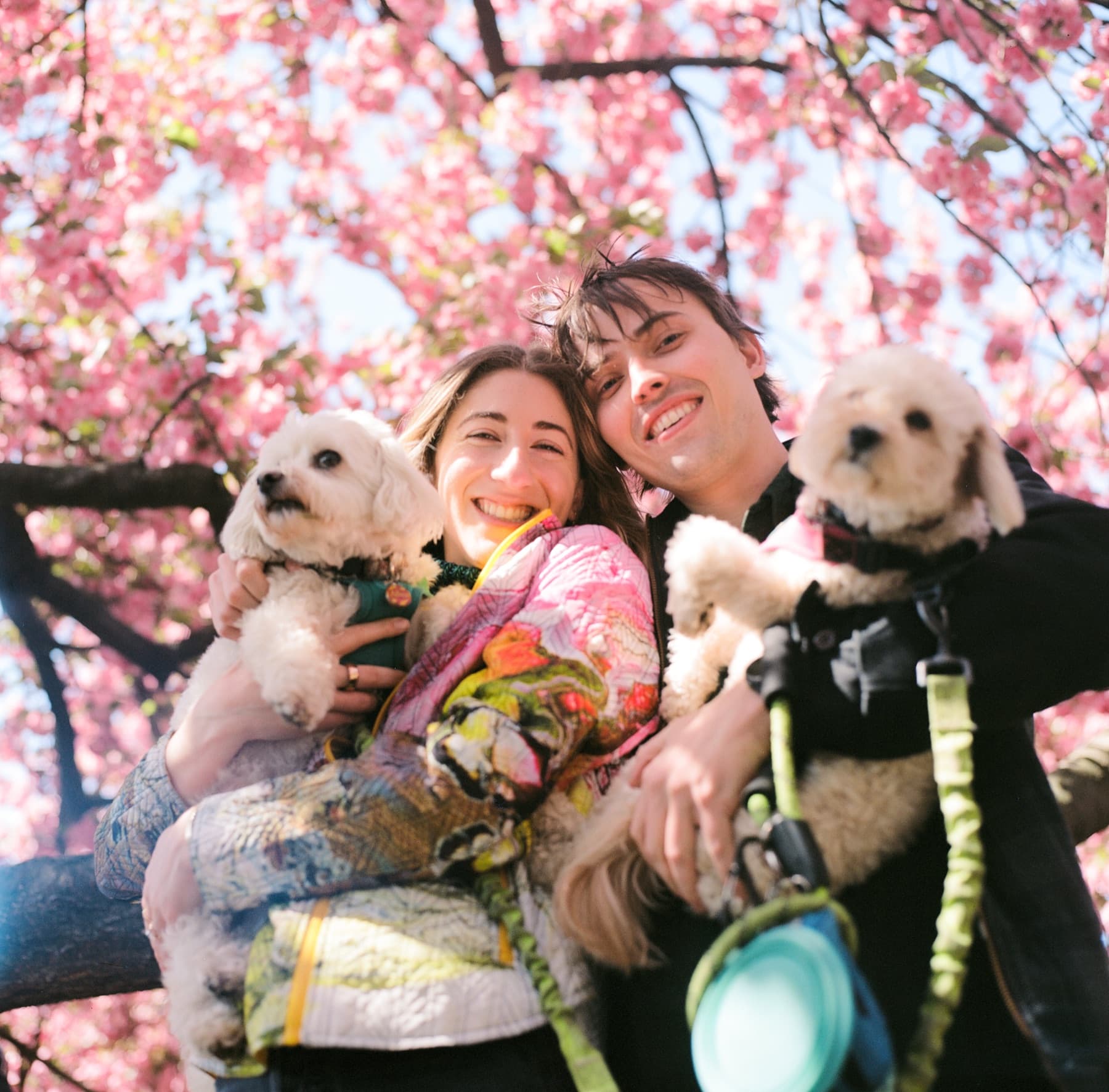 Jen and Luke with their two dogs in the blossoms